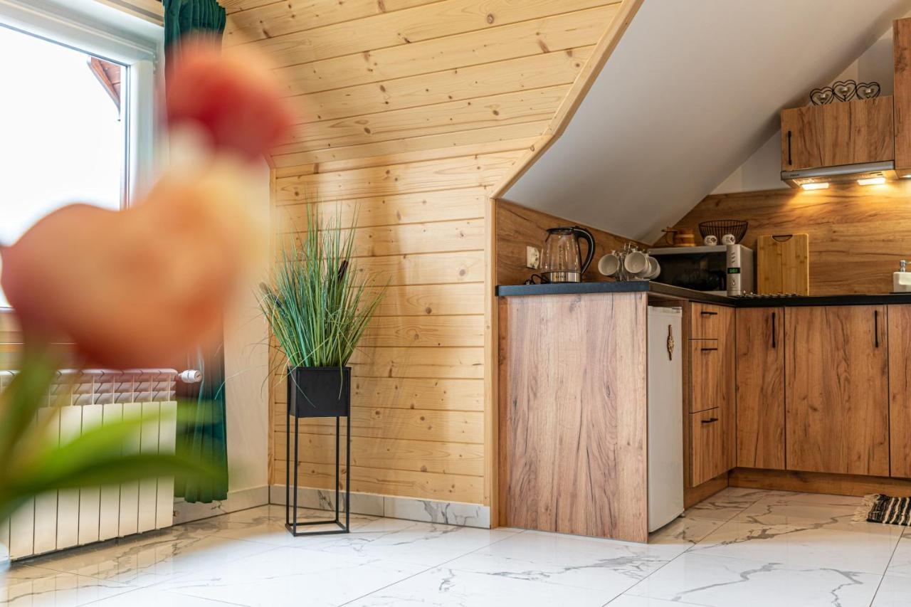 Widokowy Apartament - Pokoje Goscinne Banska Wyzna 외부 사진